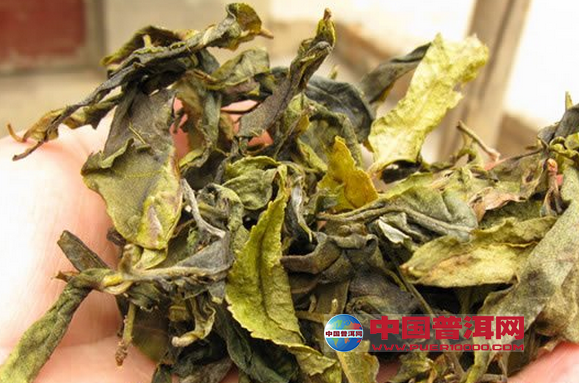 普洱茶
