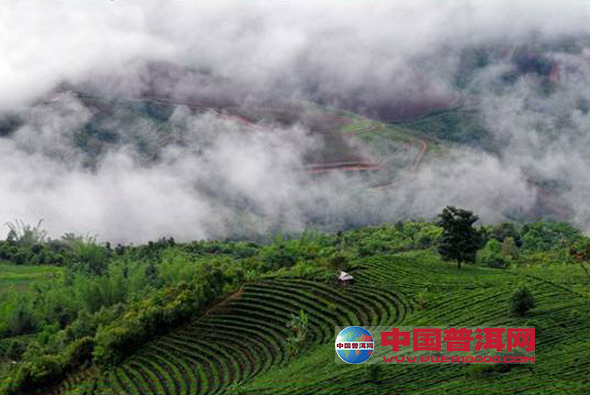 <u><a href='http://www.puer10000.com/puerzhishi/32854.html' target='_blank'>普洱<u><a href='http://www.puer10000.com/puerzhishi/100997.html' target='_blank'>茶</a></u></a></u>