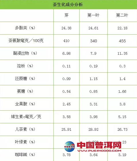 <u><a href='http://www.puer10000.com/puerzhishi/32854.html' target='_blank'>ն</a></u>