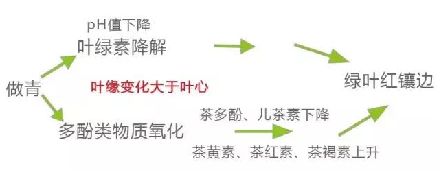 <u><a href='http://www.puer10000.com/puerzhishi/32854.html' target='_blank'>普洱茶</a></u>