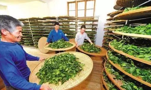 <u><a href='http://www.puer10000.com/puerzhishi/32854.html' target='_blank'>普洱茶</a></u>