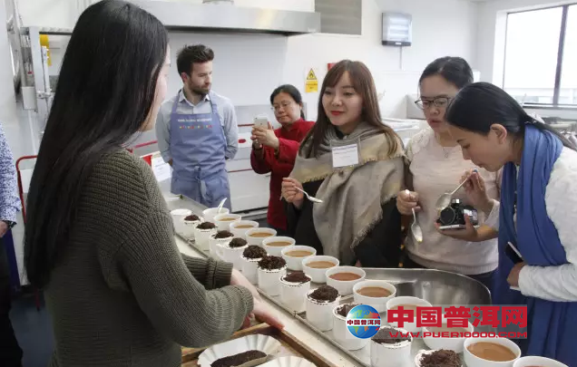 普洱茶