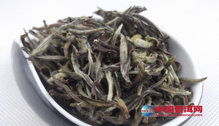普洱茶