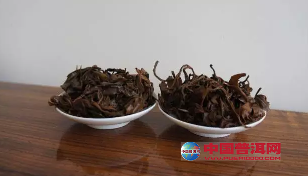 <u><a href='http://www.puer10000.com/puerzhishi/32854.html' target='_blank'>普洱茶</a></u>