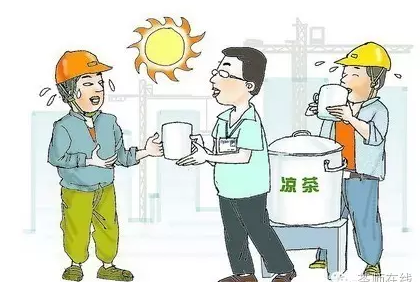 普洱茶