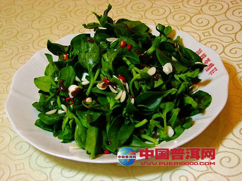 <u><a href='http://www.puer10000.com/puerzhishi/32854.html' target='_blank'>普洱<u><a href='http://www.puer10000.com/puerzhishi/100997.html' target='_blank'>茶</a></u></a></u>