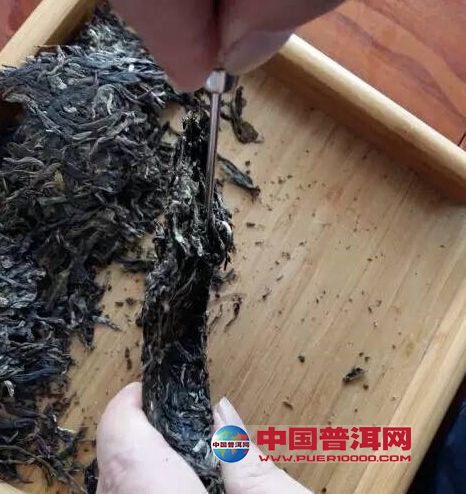 普洱茶