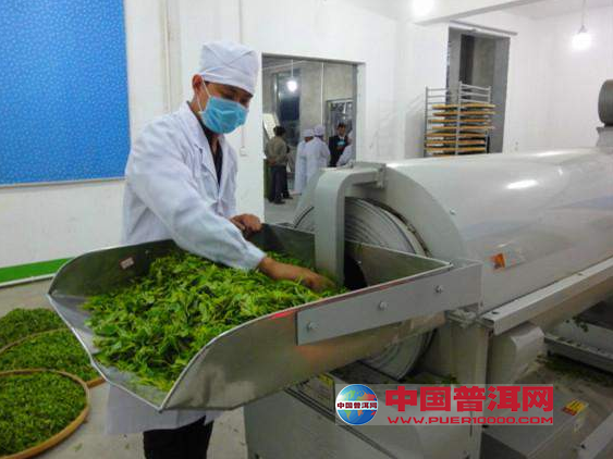 <u><a href='http://www.puer10000.com/puerzhishi/32854.html' target='_blank'>普洱<u><a href='http://www.puer10000.com/puerzhishi/100997.html' target='_blank'>茶</a></u></a></u>