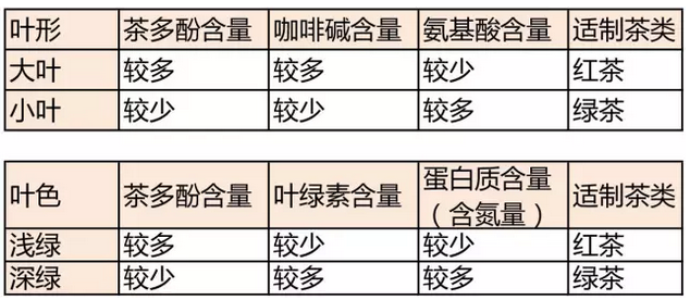 <u><a href='http://www.puer10000.com/puerzhishi/32854.html' target='_blank'>ն</a></u>