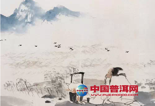 普洱茶
