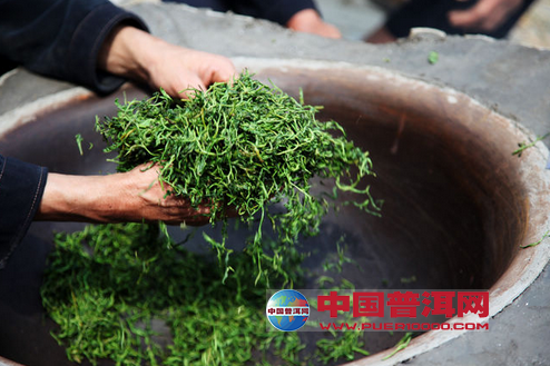 <u><a href='http://www.puer10000.com/puerzhishi/32854.html' target='_blank'>普洱<u><a href='http://www.puer10000.com/puerzhishi/100997.html' target='_blank'>茶</a></u></a></u>