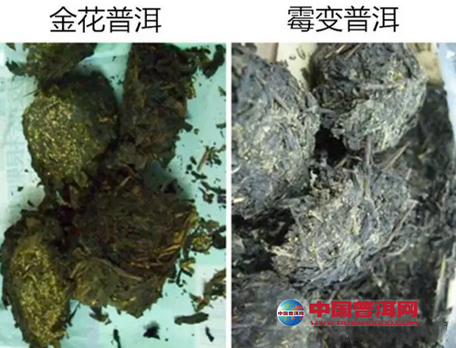 <u><a href='http://www.puer10000.com/puerzhishi/32854.html' target='_blank'>普洱<u><a href='http://www.puer10000.com/puerzhishi/100997.html' target='_blank'>茶</a></u></a></u>
