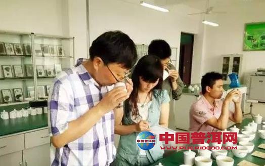 普洱茶
