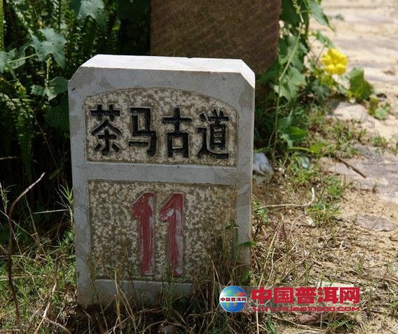 普洱茶