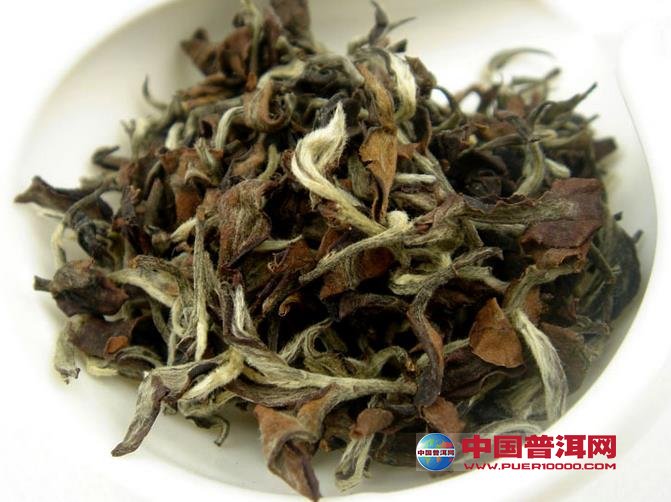 <u><a href='http://www.puer10000.com/puerzhishi/32854.html' target='_blank'>普洱<u><a href='http://www.puer10000.com/puerzhishi/100997.html' target='_blank'>茶</a></u></a></u>