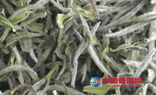 <u><a href='http://www.puer10000.com/puerzhishi/32854.html' target='_blank'>普洱<u><a href='http://www.puer10000.com/puerzhishi/100997.html' target='_blank'>茶</a></u></a></u>