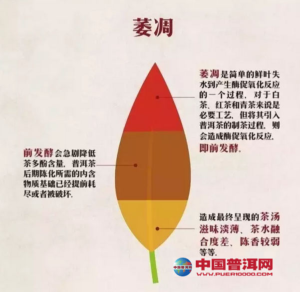 <u><a href='http://www.puer10000.com/puerzhishi/32854.html' target='_blank'>ն</a></u>