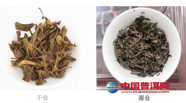 普洱茶