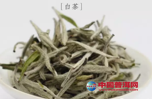 <u><a href='http://www.puer10000.com/puerzhishi/32854.html' target='_blank'>ն<u><a href='http://www.puer10000.com/puerzhishi/100997.html' target='_blank'></a></u></a></u>