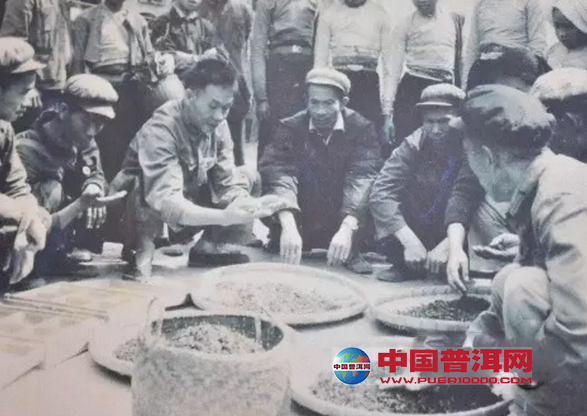 普洱茶