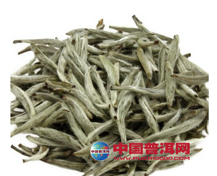 普洱茶