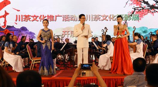 普洱茶