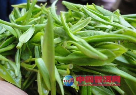<u><a href='http://www.puer10000.com/puerzhishi/32854.html' target='_blank'>普洱<u><a href='http://www.puer10000.com/puerzhishi/100997.html' target='_blank'>茶</a></u></a></u>