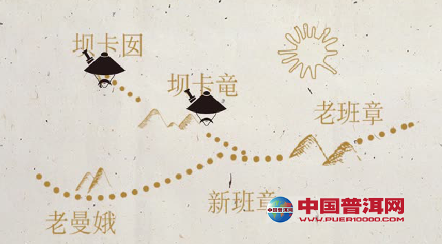 普洱茶