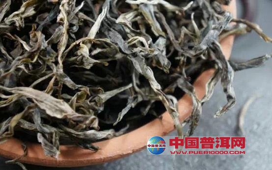 普洱茶