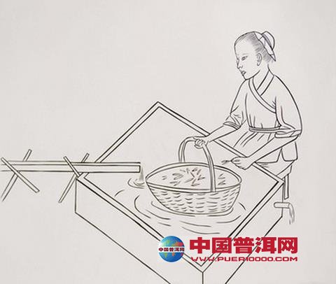<u><a href='http://www.puer10000.com/puerzhishi/32854.html' target='_blank'>普洱<u><a href='http://www.puer10000.com/puerzhishi/100997.html' target='_blank'>茶</a></u></a></u>