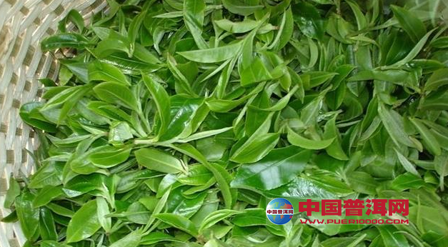 <u><a href='http://www.puer10000.com/puerzhishi/32854.html' target='_blank'>ն<u><a href='http://www.puer10000.com/puerzhishi/100997.html' target='_blank'></a></u></a></u>