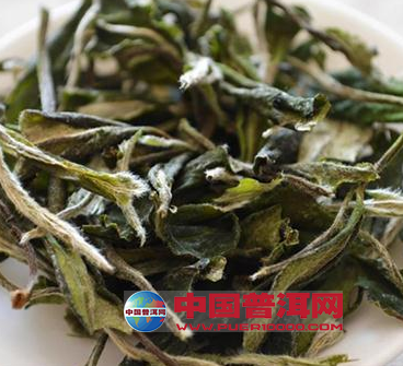 <u><a href='http://www.puer10000.com/puerzhishi/32854.html' target='_blank'>普洱<u><a href='http://www.puer10000.com/puerzhishi/100997.html' target='_blank'>茶</a></u></a></u>