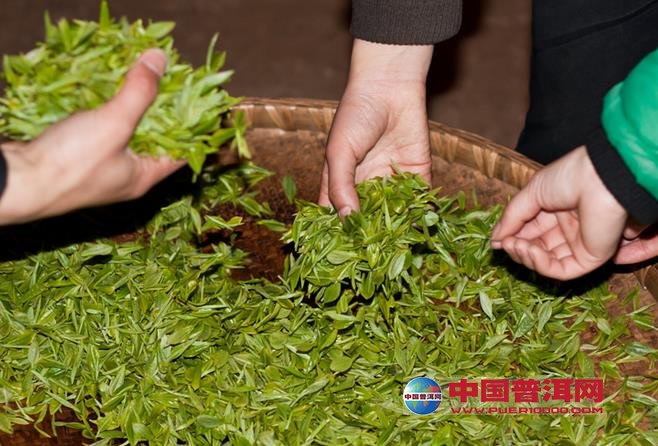 <u><a href='http://www.puer10000.com/puerzhishi/32854.html' target='_blank'>ն<u><a href='http://www.puer10000.com/puerzhishi/100997.html' target='_blank'></a></u></a></u>