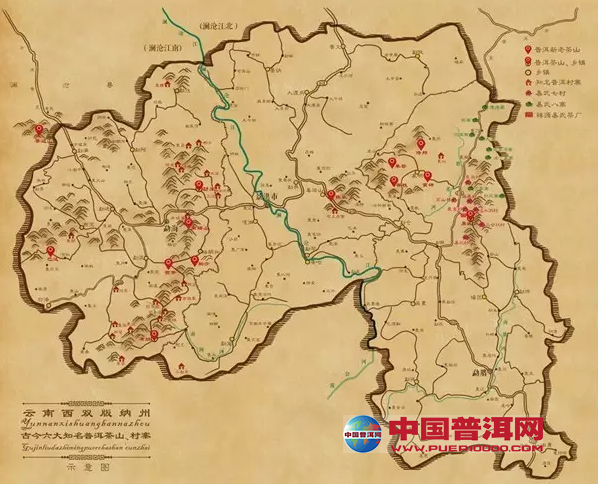 普洱茶