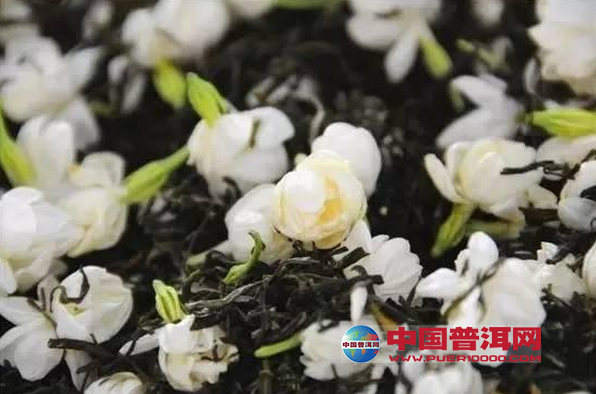<u><a href='http://www.puer10000.com/puerzhishi/32854.html' target='_blank'>普洱<u><a href='http://www.puer10000.com/puerzhishi/100997.html' target='_blank'>茶</a></u></a></u>