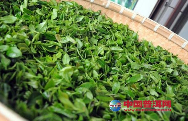 普洱茶