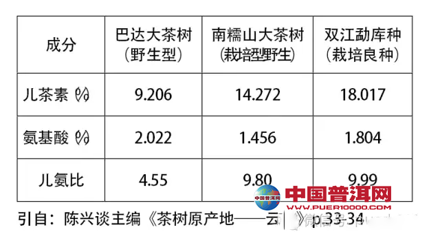 普洱茶