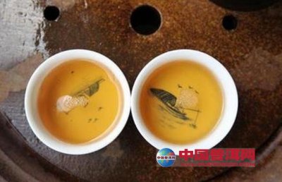 冲泡普洱茶的茶具介绍