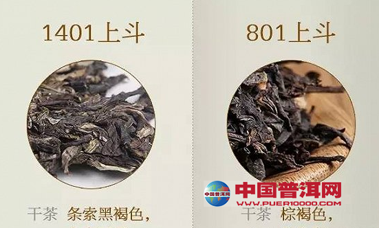 <u><a href='http://www.puer10000.com/puerzhishi/32854.html' target='_blank'>ն</a></u>