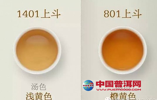 <u><a href='http://www.puer10000.com/puerzhishi/32854.html' target='_blank'>ն</a></u>