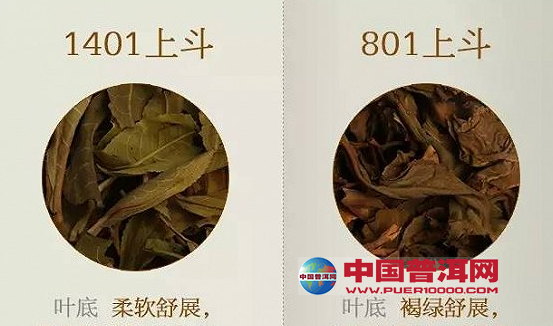 <u><a href='http://www.puer10000.com/puerzhishi/32854.html' target='_blank'>ն</a></u>