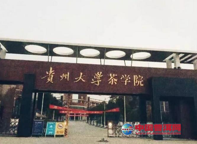 普洱茶