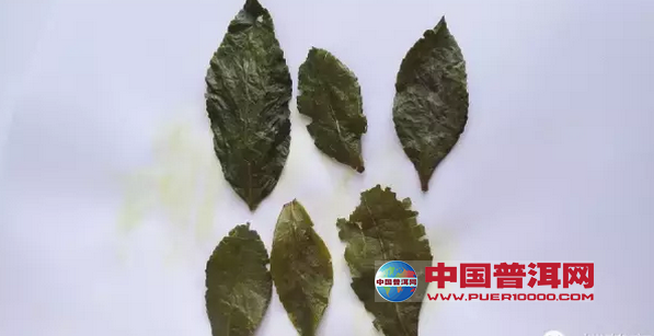<u><a href='http://www.puer10000.com/puerzhishi/32854.html' target='_blank'>普洱茶</a></u>