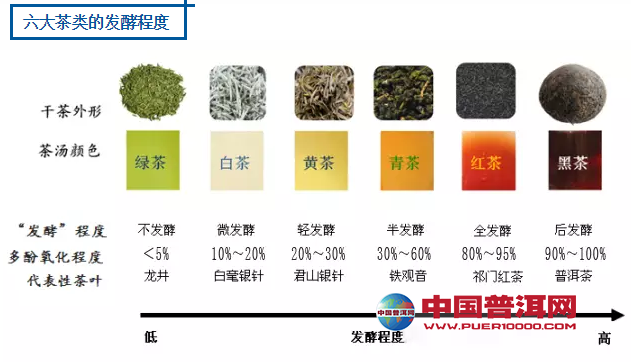 普洱茶