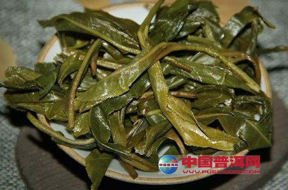 普洱茶