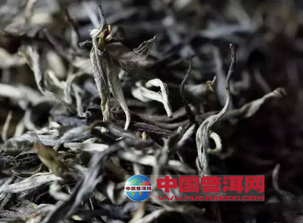 普洱茶