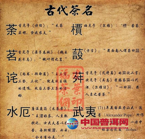 普洱茶
