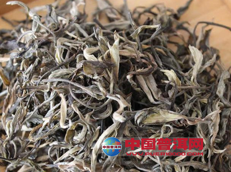 普洱茶