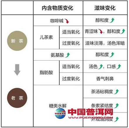 普洱茶