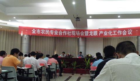 普洱茶